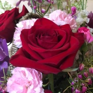 Meet your Posher, Mireya